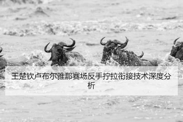 王楚钦卢布尔雅那赛场反手拧拉衔接技术深度分析